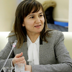 K. Arzum Erdem Gürsan